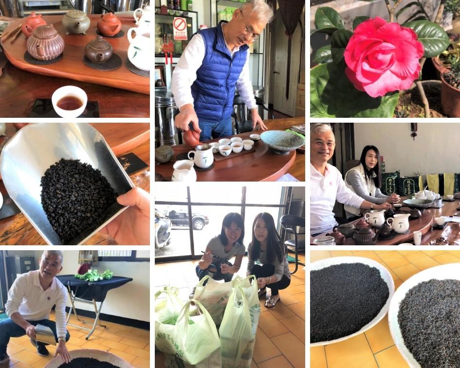 Tea Hunting 2019 - visiting Mr. Lin in Lugu County