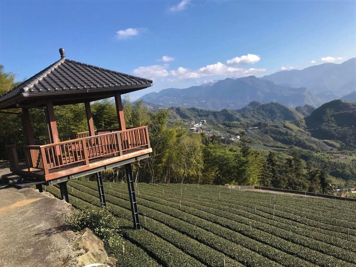 visiting Ms Alishan
