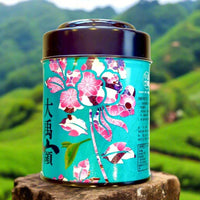 DaYuLing Oolong 98K - König der Oolong Tees - Evergreen Teashop