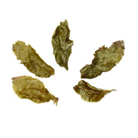 Green Pearl Jade Oolong Tee - Evergreen Teashop