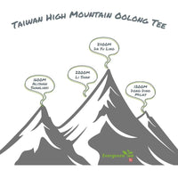 High Mountain Oolong Tee Sampler - Evergreen Teashop