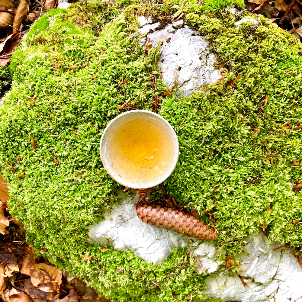 Leicht fermentierter Oolong Tee | Evergreen Teashop