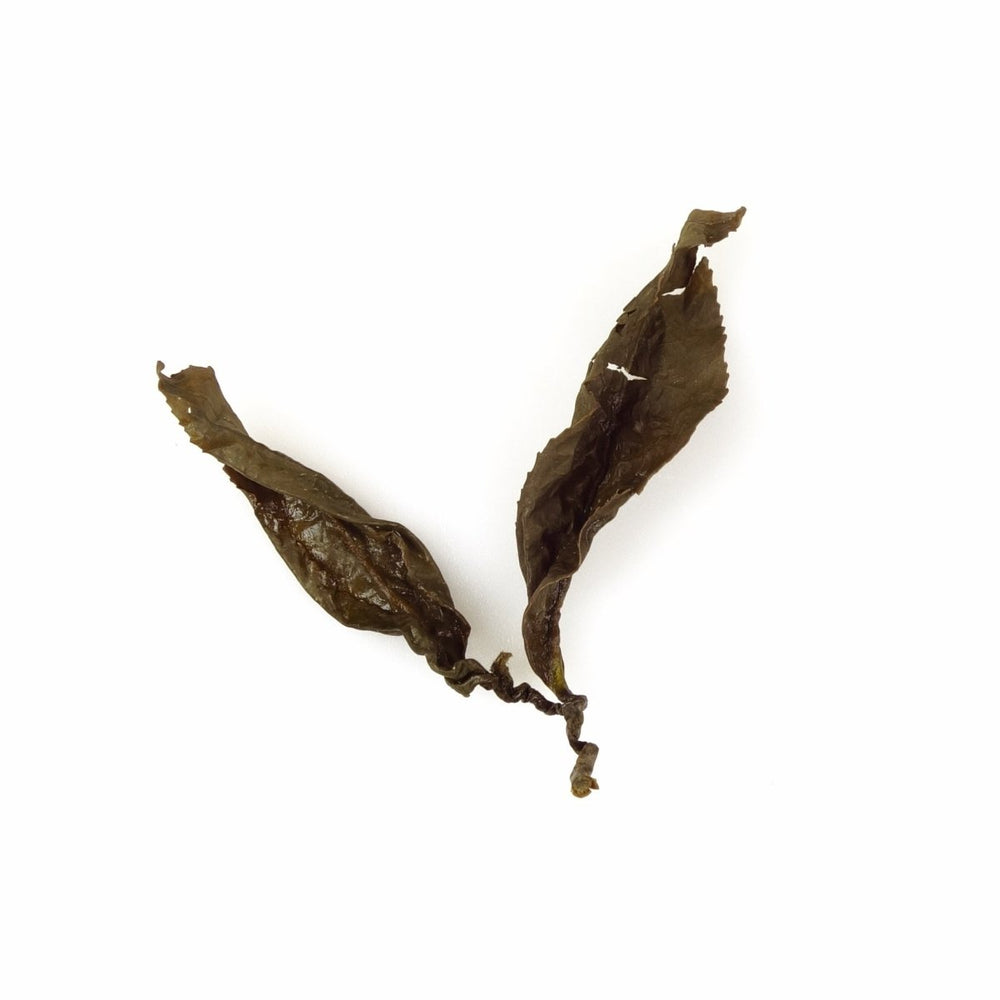 Schwarzer Tee | Evergreen Teashop