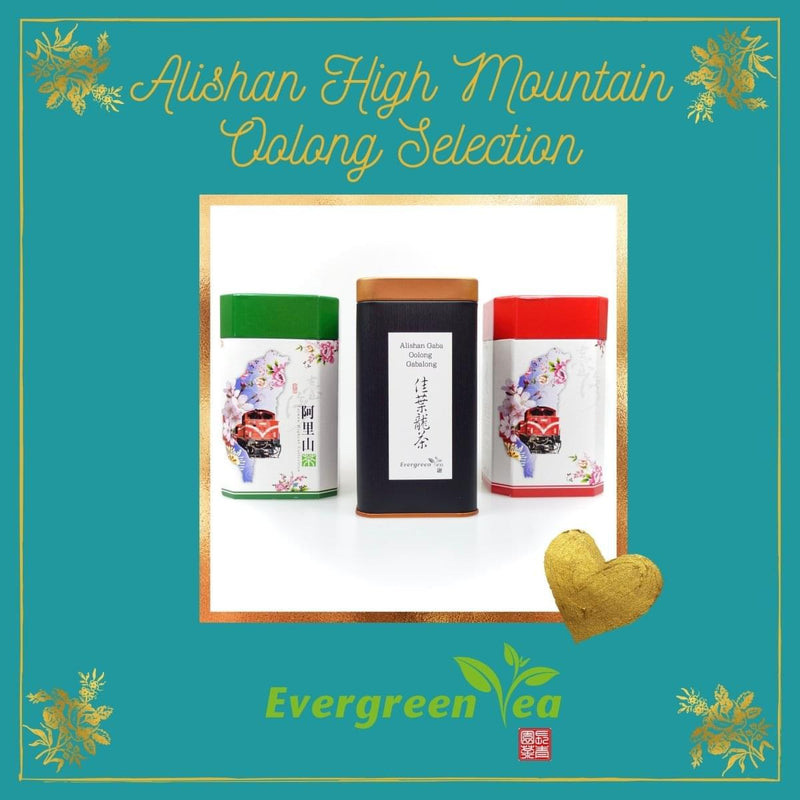 Alishan High Mountain Oolong Selection - Evergreen Teashop
