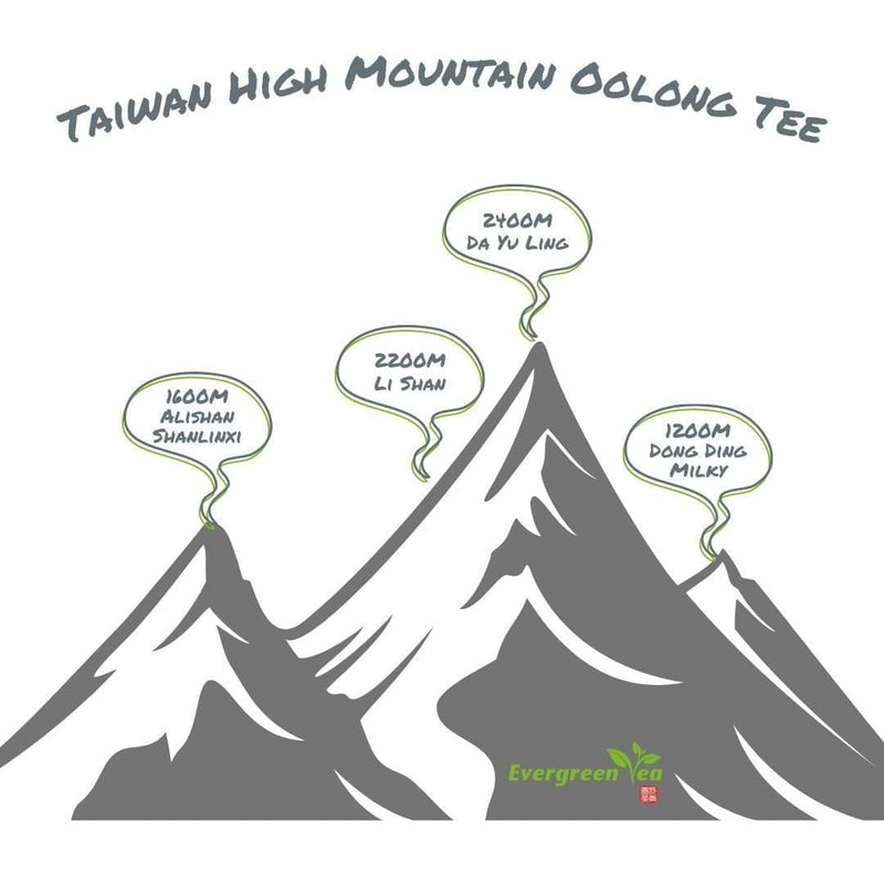 High Mountain Oolong Tee Sampler - Evergreen Teashop